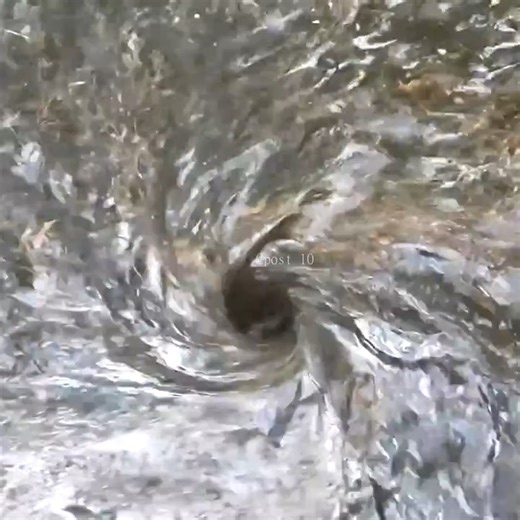 13K views · 178 reactions | Part 2 Draining a Massive Flooded Street | Post10 | Facebook