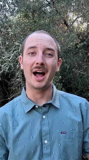 There is so much we can learn from nature if we pay attention! 🌎 🧠 What do you think we will be able to come up with next??? 💡 #rewildyourlife #nature #technology #future #earth #innovation #tech #publictransport #city #outdoors #science #japan #train