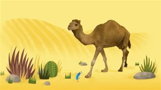 StoryBots | Wild Animal Songs: Tiger, Lion, Zebra, Rhino | Learning Songs for Kids | Netflix Jr