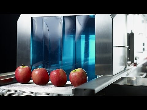 Ultraviolet Light Tunnel System | Campden BRI