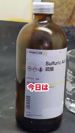【全てを食い尽くす液体】ピラニア溶液にメントス入れたらヤバすぎた #Shorts