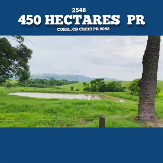 450 Hectares of PR CS Creci: Agricultural Insights