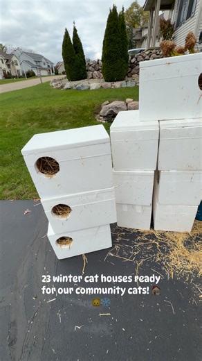131K views · 1.7K reactions | 23 community winter cat houses built! Huge thanks to my hubby for cutting all the holes and supporting my cat rescue craziness ❄️ These will go to areas where I’ve done TNR first, with more to come soon #rescue #kitty #TNR #savinglives #warmth #crazycatlady | Jackie Disher | Facebook