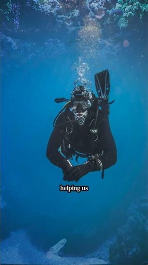 The Ocean’s Hidden World!#occeanmistry#occean#marinelife