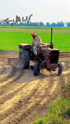 Village Beauty: Unlocking the Secrets of Models