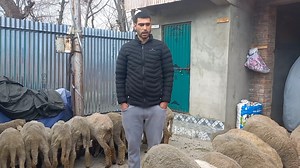 272K views · 11K reactions | Educated Youth Can Choose Sheep Farming as Their Profession And Earn 5 Lakhs. ©️ Copyright Reserved. | Journalist Bhat Imtiyaz | Facebook