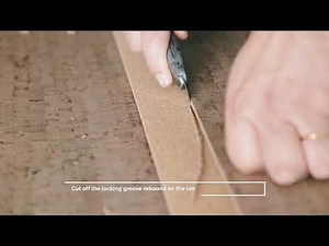 How to repair wise by amorim