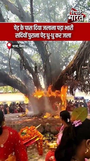 पेड़ के पास दिया जलाना पड़ा भारी, सदियों पुराना पेड़ धु-धु कर जला | Report Bharat