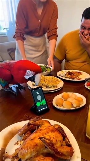 “Parrot Calls Police on Wife for Overfeeding Husband! 😂🦜🍛” 🦜🍽️ ONE OF THE FUNNIEST PARROT VIDEOS YOU WILL EVER SEE! In a cozy dining room, a red parrot sits beside a man who’s happily eating — when suddenly the parrot leans into a phone on speaker and starts “calling the police”! The dramatic parrot screams: “Hello Police? Parrot complaining!” “She always feeds her husband first — never me!” “Now he’s so fat because of her food!” “She’s killing him slowly — with too much feeding!” “Come qui