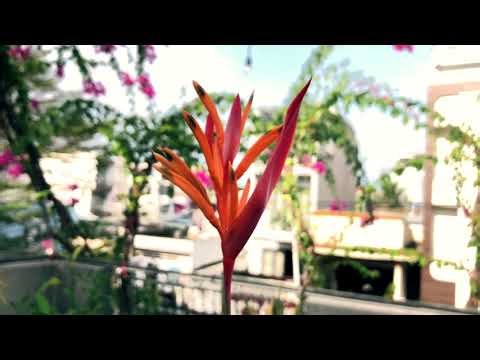 DECEMBER MELODY - piano relax