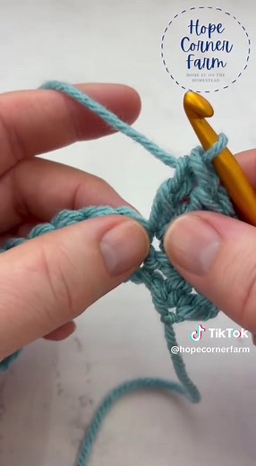 Learn the Easy Little Shells Crochet Stitch Tutorial