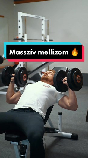 Kedvenc mellizom gyakorlatok a hatékony edzésért