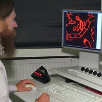 视频: 外周相关蛋白质膜分配的测定