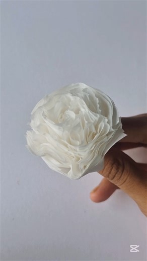 Tissue Paper Carnation Flower | Flower Making from Tissue Paper| #craft #shorts #diy