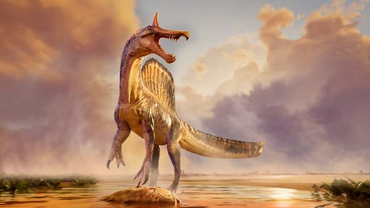 New dinosaur discovered in Sahara desert was a horned ‘hell heron'