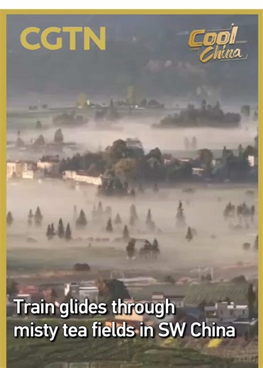 High-Speed Train in Misty Sichuan Villages
