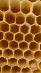 The hexagonal shape found in honeycomb is the most efficient shape #beekeeper #honeyharvest #honey #beeswax #honeycomb #bees #wax #Beehive #beekeeping | Bowser Bee