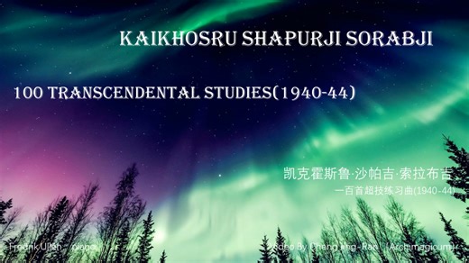 ［索拉布吉］超技练习曲第51-60号