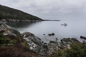 Fogarty’s Cove: Maritime legend, hard reality and a quarry that could change it all