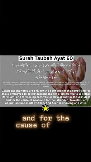 Who Can Receive Zakat? The 8 Categories Explained #faith #history #quran #peace #surah #love #halal