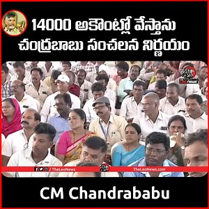 1M views · 18K reactions | Cm Chandrababu Sensational Decision On Rythu Bharosa | AP Politics #Cmchandrababu #chandrababu #pmmodi #theleonews | The Leo News | Facebook