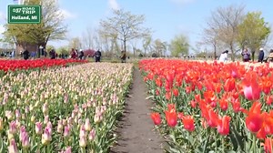 ABC57 Road Trip: Holland, Michigan