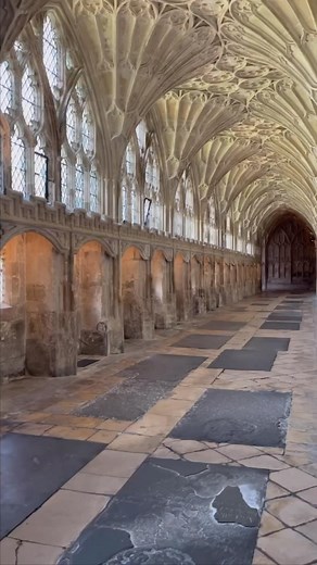 41K views · 10K reactions | I think these are great. Definitely worth...