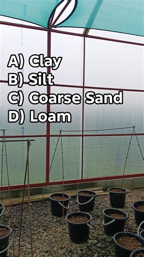 6.5K views · 28 reactions | Question 38: ​Which soil texture is generally considered to be the most erodible due to its weak cohesion and ease of detachment by wind or water? #highlightseveryonefollowers2025highlightseveryonefollowers2025 #reelsviralシfb #letsgrowtogethereveryone #agriculturelife #agruculturalengineering #EngineeringExcellence #prcboardabele2025 #Philippines2025 #randomlifeevents #supporteachother | Eric Cabatuan | Facebook