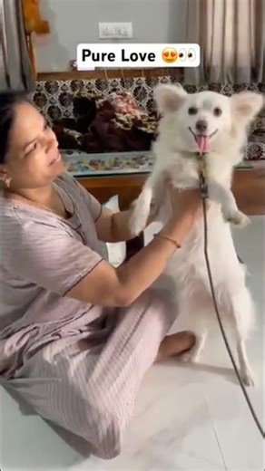 Pyari maa 💕🥹🐶#shorts #youtubeshorts#viral#dog #emotional #viralshorts #trending