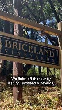 NorCal’s Ultimate Weed & Wine Tour: Cannabis Farms and Wine Tasting in Humboldt