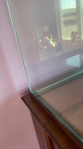 This is Humphreys new tank! IT’S HUGE!! And its 624 sq inches! The rest of the money i saved up for will be toys and hides for him! Also the tank was free!#hamster #hamstercare #hamstercage #hamsteraquarium