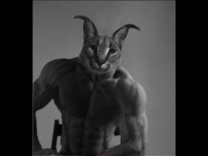 Giga chad phonk (Slowed reverb)