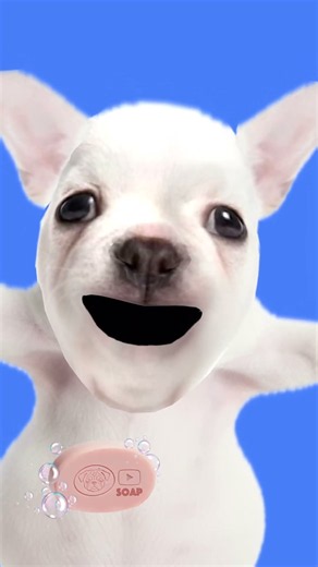 I am pibble wash my belly😀 #funny #butifyoucloseyoureyes #memes
