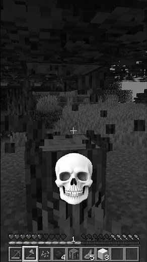 This MOD turns your MINECRAFT into an EDIT 💀