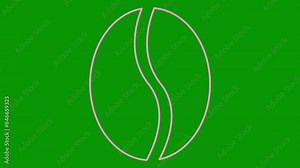 Animated pink linear coffee bean is drawn. Line symbol of coffee. Concept of cafe. Looped video. Vector illustration isolated on green background.