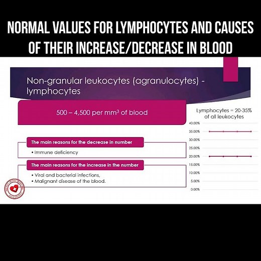 Normal values for lymphocytes and causes of their increase/decrease in blood #lymphocytes #infection