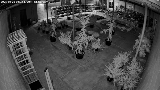 6K views | Tom's Tree Place on Reels | Facebook