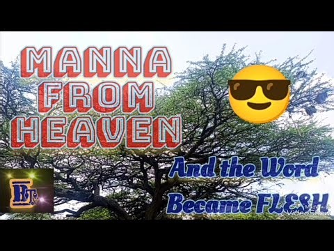 Word of Hope by Uncle Fello