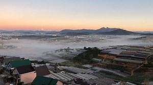 Flowers, Meadow, Garden