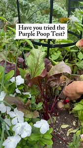 1.3K reactions · 139 comments | Have you taken this test 﫣 Here’s...