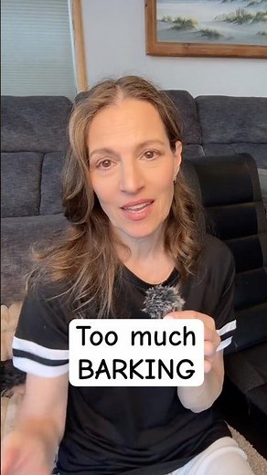 How to minimize or eliminate neurotic barking in yorkies