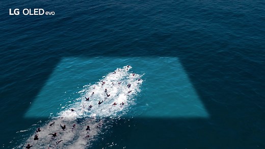 288K views · 685 reactions | Introducing the most brilliant evolution from the world's no.1 OLED of 10 years. Experience a brighter, bolder picture quality enhanced by Brightness Booster Max and α9 AI Processor Gen6. The Greatest OLED of All. LG OLED evo #LGOLED #LGOLEDevo #LGTV #GreatestOLED #LGELECTRONICS, #LGOLED, #LGOLEDevo, #LGOLEDTV, #LGOLED2023, #LGOLEDEVO2023, #BRIGHTESTOLED, #OLED, #OLEDTV, #BESTOLEDTV, #NO1OLEDTV | LG Global | Facebook