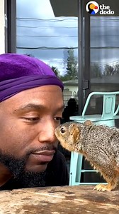 Guy builds a house with a tiny kitchen and living room for a squirrel named Richard... and Richard uses the house to start a family! 💕 | The Dodo