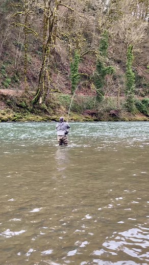 135K views · 813 reactions | Working on that double Spey. #flyfishing #steelhead #catchandrelease #oregon #wild #explore #exploremore #river #trout #travel #theglobalwanderer #photooftheday #adventureoften #fishing #getoutside #getoutstayout #commutingrivers #builtforthewild #nature #outdoors #fish #steelheadfishing #sageflyfish #sageflyfishing #simmsfishing #korkersfootwear #rioproducts #rioproducts #Scientificanglers #fishitwell | River Right Outdoors | Facebook
