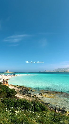 Explore La Pelosa Beach in Sardinia