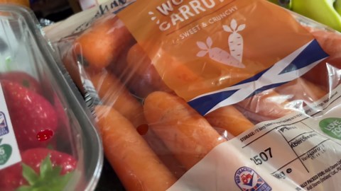 Budget grocery shopping review in the UK