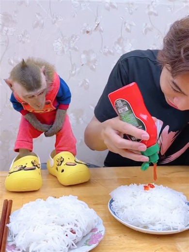 🐵 Cute Nana Monkey bringing nonstop fun at home 😄🏡 #NanaMonkey #FunnyMonkey #CuteMonkey #MonkeyVideos #FunnyAnimals #BabyMonkey #MonkeyLife #FunyVideo #CuteAnimals #MonkeyHome #ViralVideo #Entertainment #AnimalLover #tiktokvideos