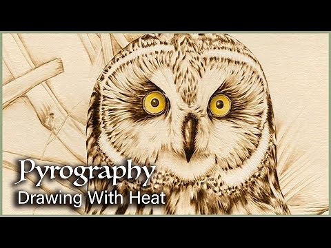 My Biggest & Most Detailed Owl Wood Burning | Pyrography Time-Lapse
