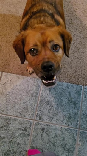 he's thinking some big thoughts