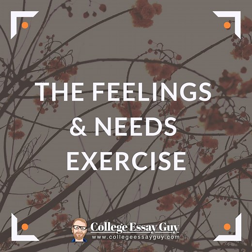 The Feelings & Needs Exercise | College Essay Guy